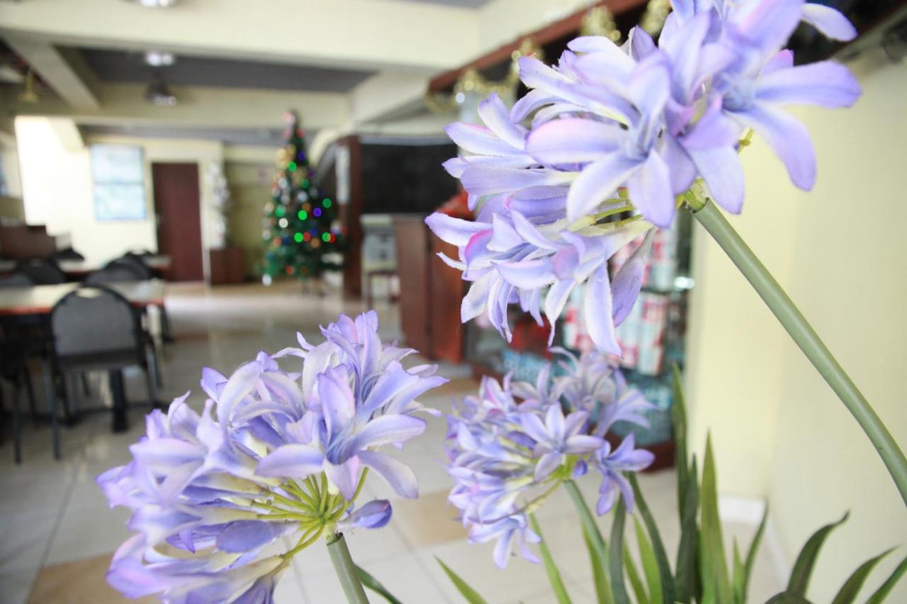 Pandu Lakeside Hotel Parapat Eksteriør bilde